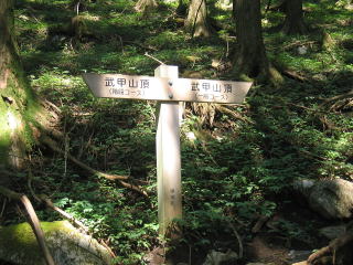 ɍsƊKĩ[cAEɍsƈʃ[g