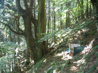 傫Ȑ̘eɐꂪBꂩ炷ɎRɎ