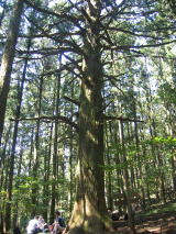 吙̍L,B700NƂ1000NƂiW100[g@33ڂj