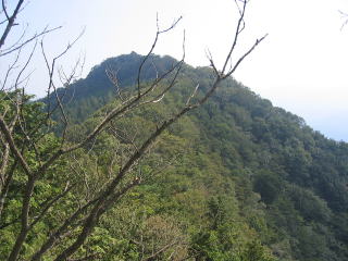 R厝Rւ̒ԓ_̊̏s[N厝R]