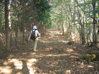 ȍ⓻ւ̉R̍ŏ͋ĈȂ炩ȍ⓹i̐ɂƂĂ}ȍ₪҂Ăj