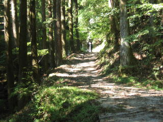 ؂̂Ȃ̊ȈՕܑ͂Ȃ肫