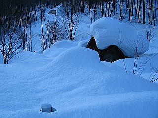 傫Ȋꂪ邱̗牺̒rɍ~ĂB