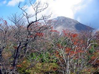 ̏o5u~lUNvŗLȏꏊłB