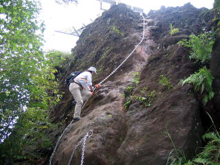 ̎̊̍ŏ̍(2iɂȂĂj