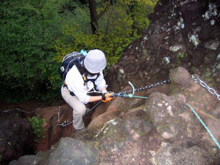 ͊₪GĂ邽߃UCŊmۂB