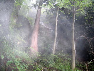 ̉@̍(oď肭ʂĂȂj̉@͂ƂĂÂĐꂽ̎ʐ^ׂƕʕ̂悤ɑB