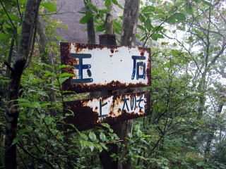 ʐ(ʐ΂͌납猩ƒɕ悤Ɍ|΂łB