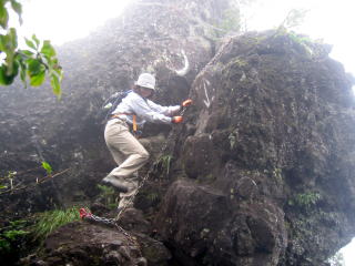 ̂̑Oɂ鐂ɉ鍽(肪葫肪~₷j