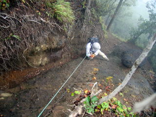 ̂̉̍ŏ̃Xx̍10[g(ƂĂ₷j