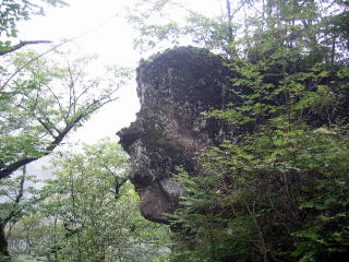 ̉̂悤Ɍʊ(ꂪoĂƃ^L̃R͂j