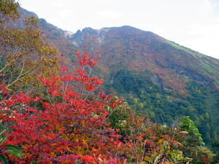 ԏꂩ瓻̒Ɍr̍gt