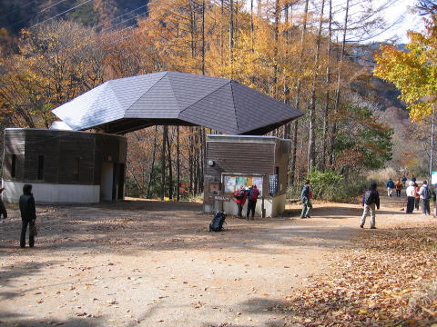 iCLƂ˂苴FVR[X̍_jhȃgCB