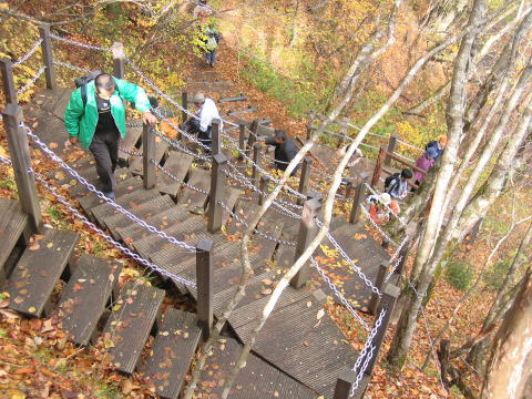 vۂ̑ꐳʂ̋}ȊKiîAŐgyȃnCJ[ł̐̑̑y߂j