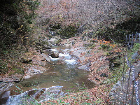 Od̑̏㕔kNTꂽkJ̕ɂȂ