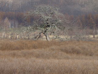 c㌴ɐĂ(n[|b^[̖\̂ՂɌj