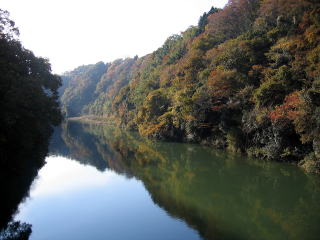 ٓV猩鑊͌΂Ɏ̍gtƗ΂ʂ