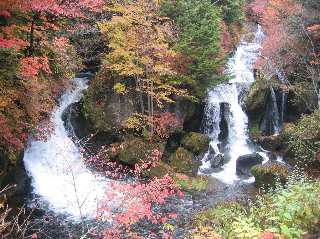 ̑̓W]͑ύ݂ĂAgt͍ЂƂłB