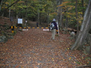 Q[goĂĂꂩ疢ܑ̖{iIȗVn܂B